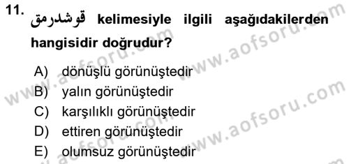 Osmanlı Türkçesine Giriş 2 Dersi 2023 - 2024 Yılı Yaz Okulu Sınav Soruları 11. Soru