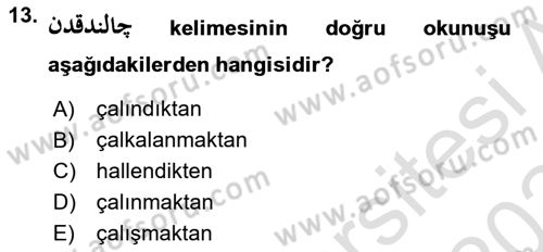 Osmanlı Türkçesine Giriş 2 Dersi 2023 - 2024 Yılı Yaz Okulu Sınav Soruları 13. Soru