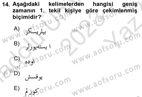 Osmanlı Türkçesine Giriş 2 Dersi 2023 - 2024 Yılı Yaz Okulu Sınav Soruları 14. Soru