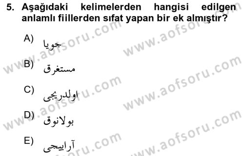 Osmanlı Türkçesine Giriş 2 Dersi 2023 - 2024 Yılı Yaz Okulu Sınav Soruları 5. Soru