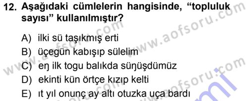 Orhun Türkçesi Dersi 2012 - 2013 Yılı (Final) Dönem Sonu Sınav Soruları 12. Soru