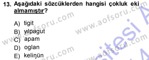 Orhun Türkçesi Dersi 2013 - 2014 Yılı (Final) Dönem Sonu Sınav Soruları 13. Soru