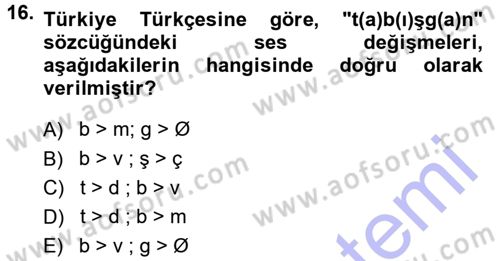 Orhun Türkçesi Dersi 2013 - 2014 Yılı (Final) Dönem Sonu Sınav Soruları 16. Soru