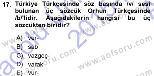 Orhun Türkçesi Dersi 2015 - 2016 Yılı (Vize) Ara Sınavı 17. Soru