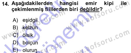 Orhun Türkçesi Dersi 2015 - 2016 Yılı (Final) Dönem Sonu Sınav Soruları 14. Soru