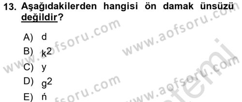 Orhun Türkçesi Dersi Ara Sınavı Deneme Sınav Soruları 13. Soru
