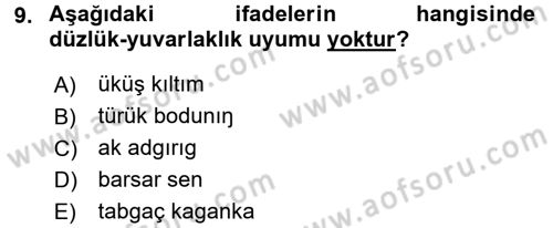 Orhun Türkçesi Dersi Ara Sınavı Deneme Sınav Soruları 9. Soru