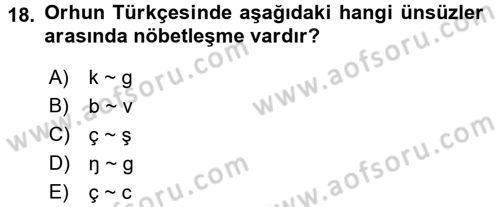 Orhun Türkçesi Dersi 2017 - 2018 Yılı (Vize) Ara Sınavı 18. Soru