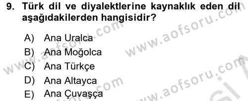 Orhun Türkçesi Dersi 2017 - 2018 Yılı (Vize) Ara Sınavı 9. Soru