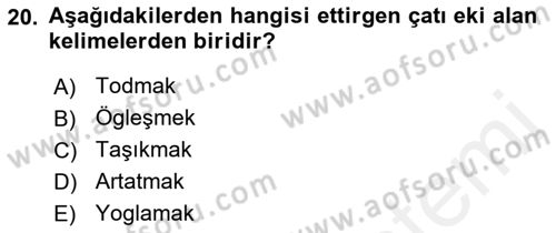 Orhun Türkçesi Dersi 2018 - 2019 Yılı (Vize) Ara Sınavı 20. Soru