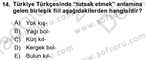 Orhun Türkçesi Dersi 2019 - 2020 Yılı (Final) Dönem Sonu Sınavı 14. Soru