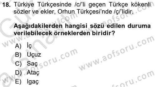 Orhun Türkçesi Dersi 2019 - 2020 Yılı Tek Ders Sınavı 18. Soru