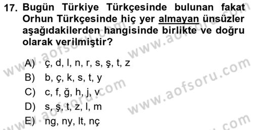 Orhun Türkçesi Dersi Ara Sınavı Deneme Sınav Soruları 17. Soru