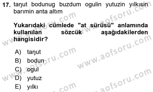 Orhun Türkçesi Dersi 2022 - 2023 Yılı Yaz Okulu Sınav Soruları 17. Soru