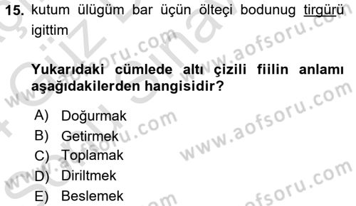 Orhun Türkçesi Dersi 2023 - 2024 Yılı (Final) Dönem Sonu Sınavı 15. Soru