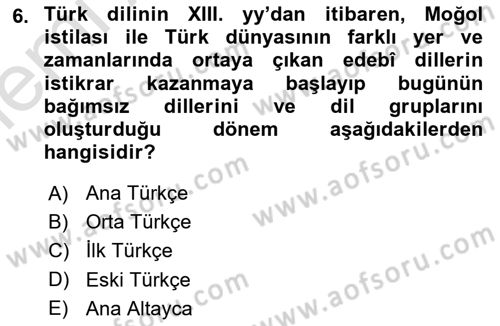 Orhun Türkçesi Dersi 2025 - 2026 Yılı (Vize) Ara Sınav Soruları 6. Soru