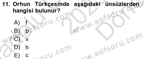 Orhun Türkçesi Dersi 2025 - 2026 Yılı (Final) Dönem Sonu Sınav Soruları 11. Soru