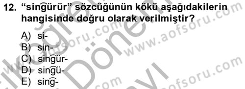 Uygur Türkçesi Dersi 2012 - 2013 Yılı (Final) Dönem Sonu Sınav Soruları 12. Soru