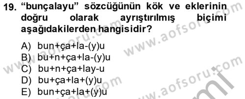 Uygur Türkçesi Dersi 2013 - 2014 Yılı (Vize) Ara Sınav Soruları 19. Soru