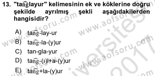 Uygur Türkçesi Dersi 2016 - 2017 Yılı (Final) Dönem Sonu Sınav Soruları 13. Soru