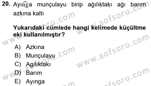 Uygur Türkçesi Dersi 2017 - 2018 Yılı (Vize) Ara Sınav Soruları 20. Soru