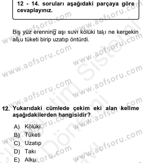 Uygur Türkçesi Dersi 2017 - 2018 Yılı (Final) Dönem Sonu Sınav Soruları 12. Soru