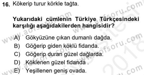 Uygur Türkçesi Dersi 2017 - 2018 Yılı (Final) Dönem Sonu Sınav Soruları 16. Soru