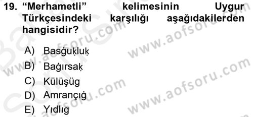 Uygur Türkçesi Dersi 2017 - 2018 Yılı (Final) Dönem Sonu Sınav Soruları 19. Soru