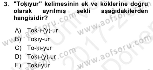 Uygur Türkçesi Dersi 2017 - 2018 Yılı (Final) Dönem Sonu Sınav Soruları 3. Soru