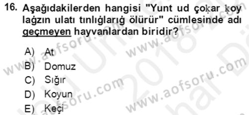 Uygur Türkçesi Dersi 2018 - 2019 Yılı (Vize) Ara Sınav Soruları 16. Soru