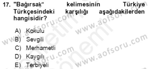 Uygur Türkçesi Dersi 2018 - 2019 Yılı (Final) Dönem Sonu Sınav Soruları 17. Soru