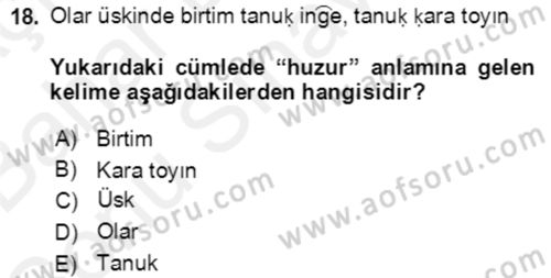 Uygur Türkçesi Dersi 2018 - 2019 Yılı (Final) Dönem Sonu Sınav Soruları 18. Soru