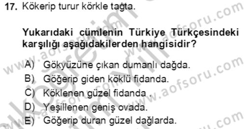 Uygur Türkçesi Dersi 2018 - 2019 Yılı Yaz Okulu Sınav Soruları 17. Soru
