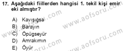 Uygur Türkçesi Dersi 2020 - 2021 Yılı Yaz Okulu Sınav Soruları 17. Soru