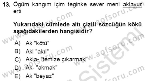 Uygur Türkçesi Dersi 2021 - 2022 Yılı (Final) Dönem Sonu Sınav Soruları 13. Soru