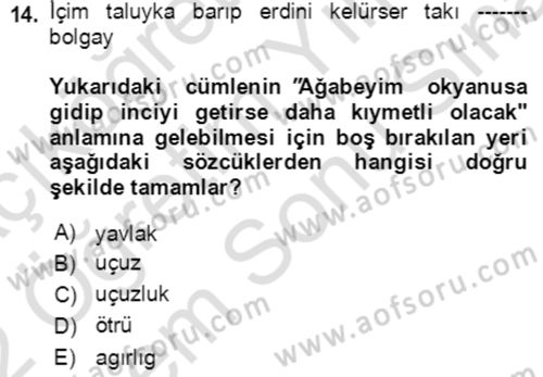 Uygur Türkçesi Dersi 2021 - 2022 Yılı (Final) Dönem Sonu Sınav Soruları 14. Soru