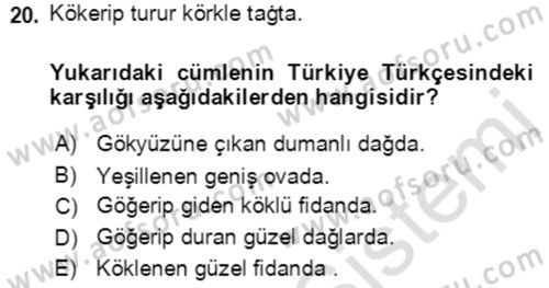 Uygur Türkçesi Dersi 2021 - 2022 Yılı (Final) Dönem Sonu Sınav Soruları 20. Soru
