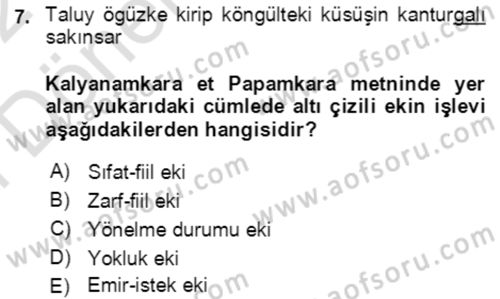 Uygur Türkçesi Dersi 2021 - 2022 Yılı (Final) Dönem Sonu Sınav Soruları 7. Soru
