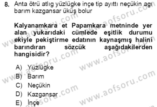Uygur Türkçesi Dersi 2021 - 2022 Yılı (Final) Dönem Sonu Sınav Soruları 8. Soru