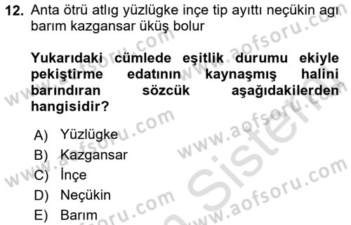 Uygur Türkçesi Dersi 2022 - 2023 Yılı Yaz Okulu Sınav Soruları 12. Soru