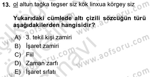 Uygur Türkçesi Dersi 2022 - 2023 Yılı Yaz Okulu Sınav Soruları 13. Soru