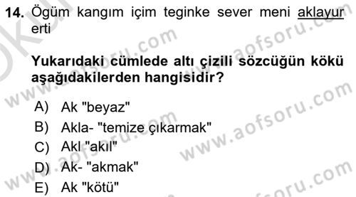 Uygur Türkçesi Dersi 2022 - 2023 Yılı Yaz Okulu Sınav Soruları 14. Soru