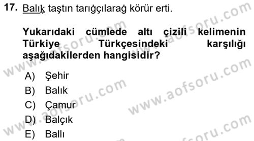 Uygur Türkçesi Dersi 2023 - 2024 Yılı (Vize) Ara Sınav Soruları 17. Soru