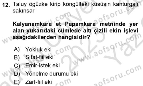 Uygur Türkçesi Dersi 2023 - 2024 Yılı Yaz Okulu Sınav Soruları 12. Soru