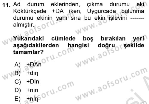 Uygur Türkçesi Dersi 2024 - 2025 Yılı (Vize) Ara Sınav Soruları 11. Soru