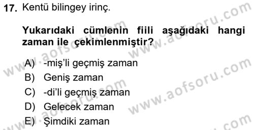 Uygur Türkçesi Dersi 2024 - 2025 Yılı (Vize) Ara Sınav Soruları 17. Soru