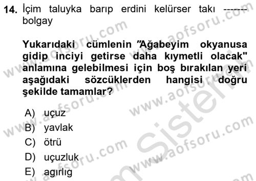 Uygur Türkçesi Dersi 2024 - 2025 Yılı (Final) Dönem Sonu Sınav Soruları 14. Soru