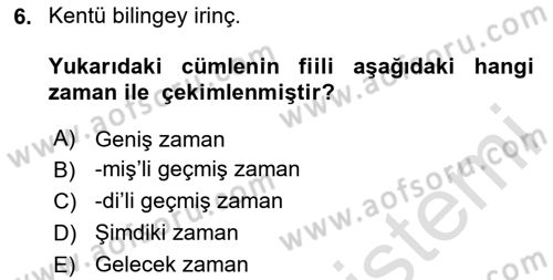 Uygur Türkçesi Dersi 2024 - 2025 Yılı (Final) Dönem Sonu Sınav Soruları 6. Soru