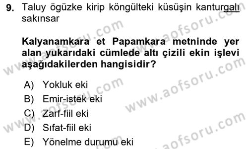 Uygur Türkçesi Dersi 2024 - 2025 Yılı (Final) Dönem Sonu Sınav Soruları 9. Soru