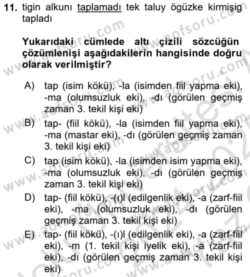 Uygur Türkçesi Dersi Yaz Okulu Sınavı Deneme Sınav Soruları 11. Soru